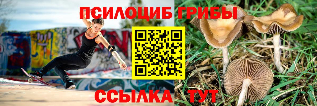 Галлюциногенные грибы мицелий Губкин