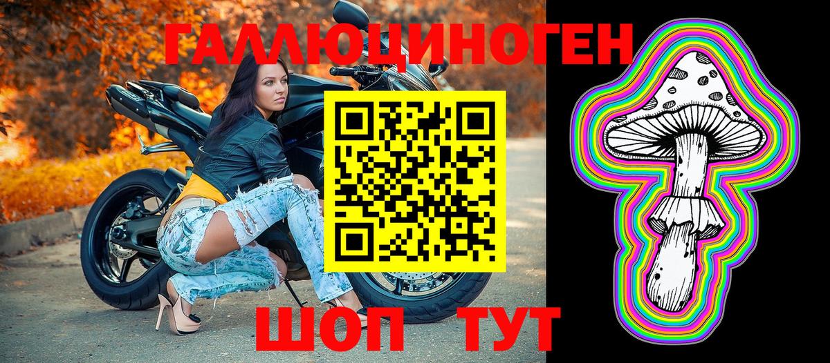 где купить наркотик  Вход с VPN  Губкин  Псилоцибиновые грибы MAGIC MUSHROOMS 